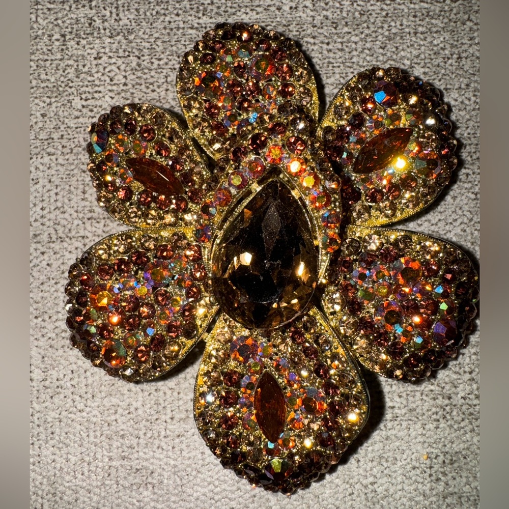Beautiful Brooch/pin with loop